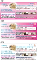 큰 이미지 보기