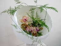 큰 이미지 보기