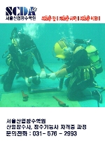 큰 이미지 보기