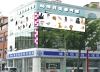큰 이미지 보기