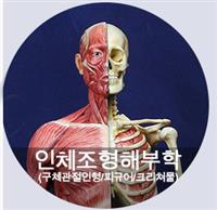 큰 이미지 보기